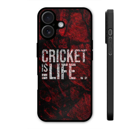 Cricket is lifee